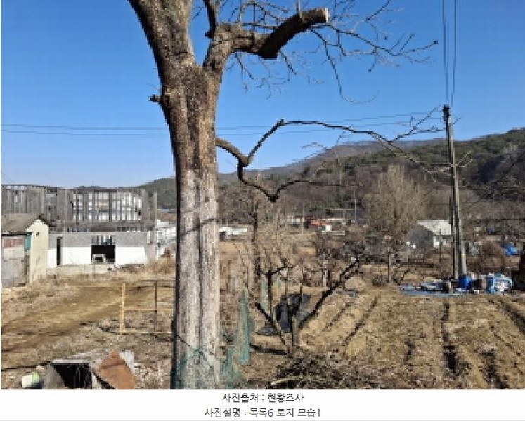 2025타경500940 대전광역시 서구 오동 314 주택 경매 이미지
