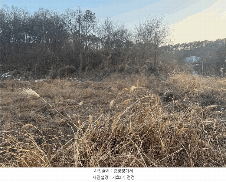 2025타경501788 세종특별자치시 전의면 읍내리 324-5 농지 경매 이미지