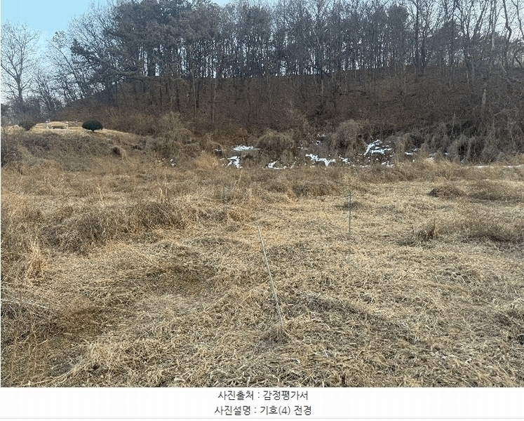 2025타경501788 세종특별자치시 전의면 읍내리 324-5 농지 경매 이미지