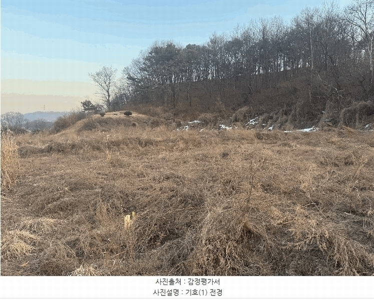2025타경501788 세종특별자치시 전의면 읍내리 324-5 농지 경매 이미지