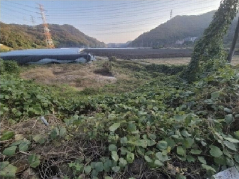 2025타경10678 경상북도 경주시 양남면 나산리 758 농지 경매 이미지