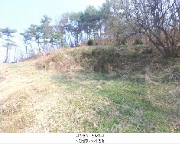 2025타경502103 충청남도 금산군 진산면 지방리 385-1 임야 경매 이미지