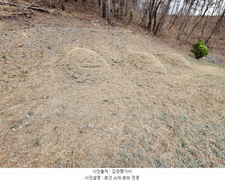 2025타경502103 충청남도 금산군 진산면 지방리 385-1 임야 경매 이미지