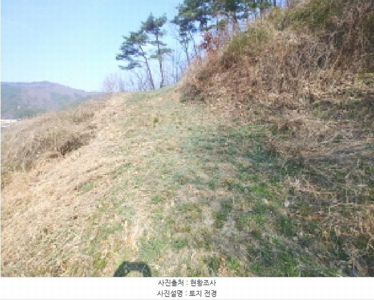 2025타경502103 충청남도 금산군 진산면 지방리 385-1 임야 경매 이미지