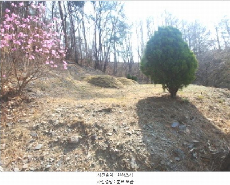 2025타경502103 충청남도 금산군 진산면 지방리 385-1 임야 경매 이미지