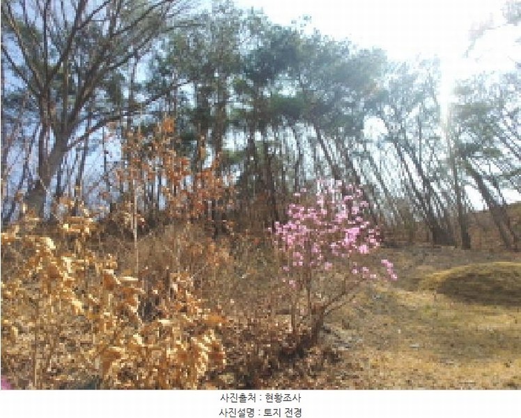 2025타경502103 충청남도 금산군 진산면 지방리 385-1 임야 경매 이미지