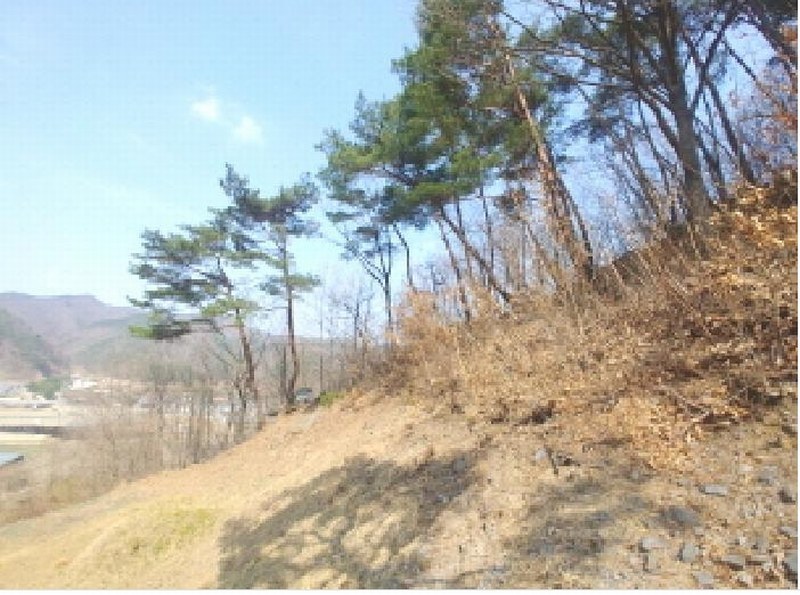 2025타경502103 충청남도 금산군 진산면 지방리 385-1 임야 경매 이미지