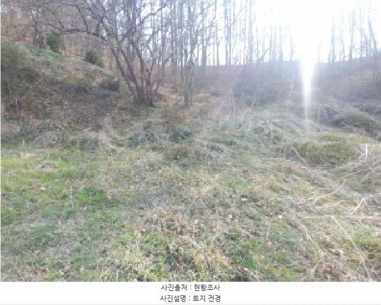2025타경502103 충청남도 금산군 진산면 지방리 385-1 임야 경매 이미지