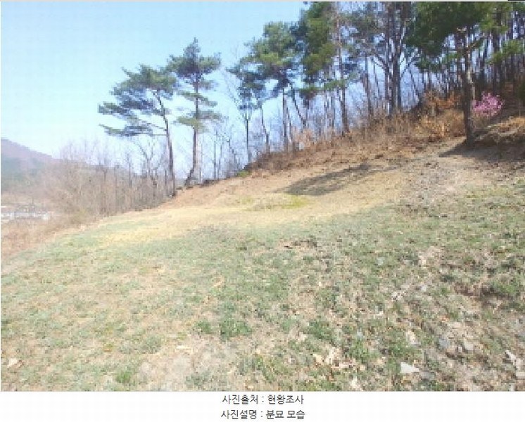 2025타경502103 충청남도 금산군 진산면 지방리 385-1 임야 경매 이미지