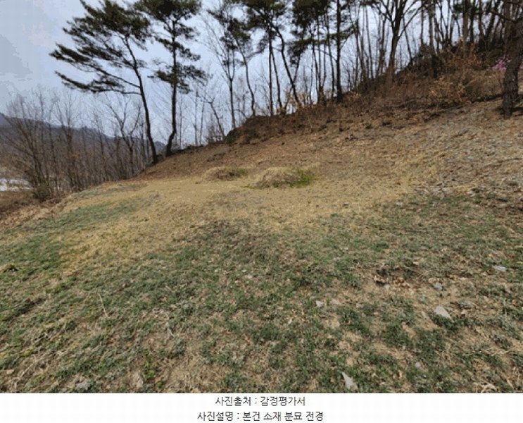 2025타경502103 충청남도 금산군 진산면 지방리 385-1 임야 경매 이미지