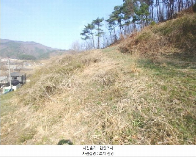 2025타경502103 충청남도 금산군 진산면 지방리 385-1 임야 경매 이미지