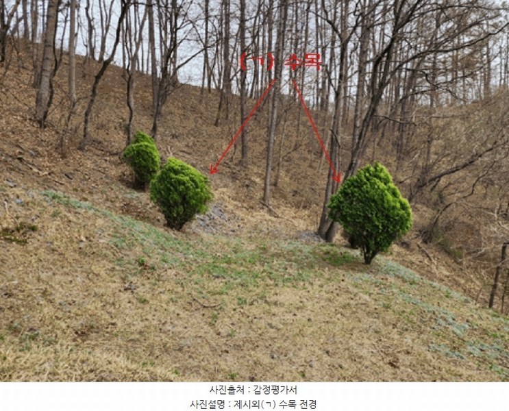 2025타경502103 충청남도 금산군 진산면 지방리 385-1 임야 경매 이미지