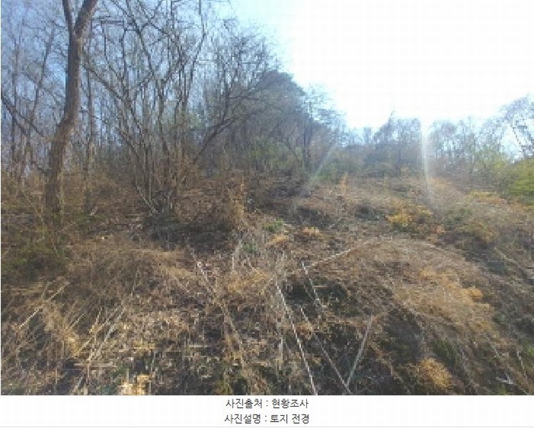2025타경502103 충청남도 금산군 진산면 지방리 385-1 임야 경매 이미지