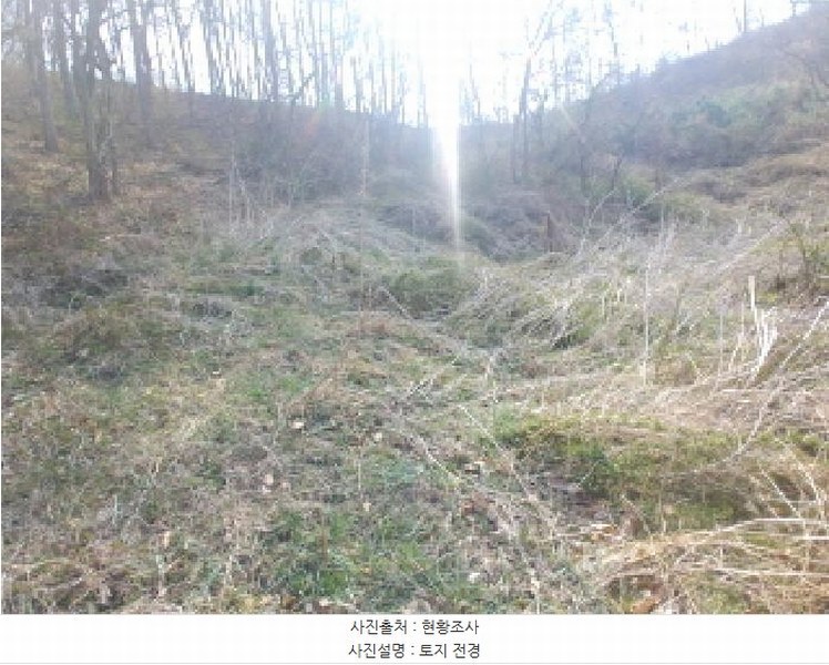2025타경502103 충청남도 금산군 진산면 지방리 385-1 임야 경매 이미지