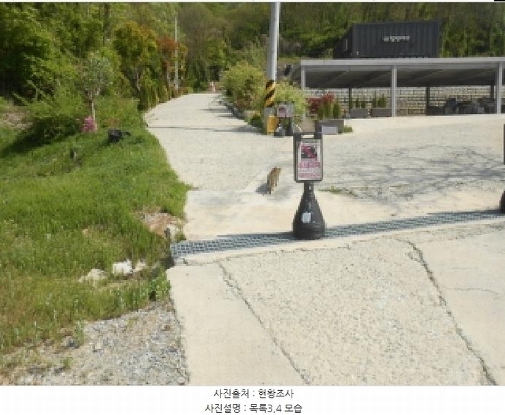 2025타경502251 세종특별자치시 전동면 노장리 237 근린시설 경매 이미지