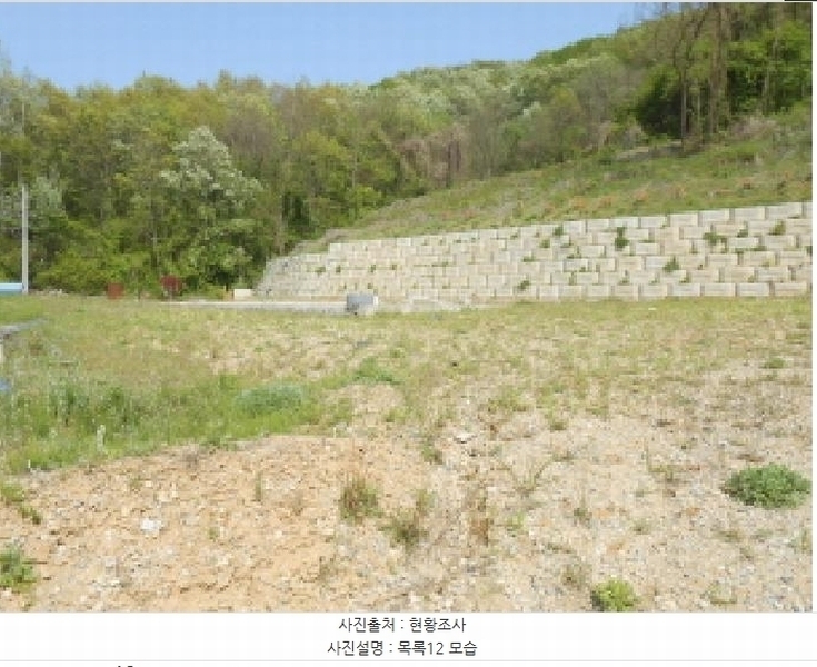 2025타경502251 세종특별자치시 전동면 노장리 237 근린시설 경매 이미지