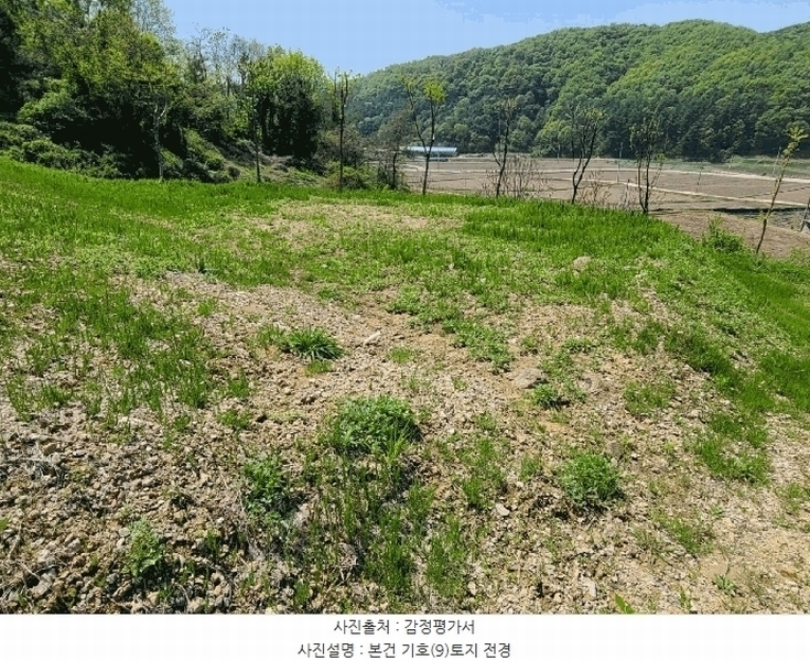 2025타경502251 세종특별자치시 전동면 노장리 237 근린시설 경매 이미지