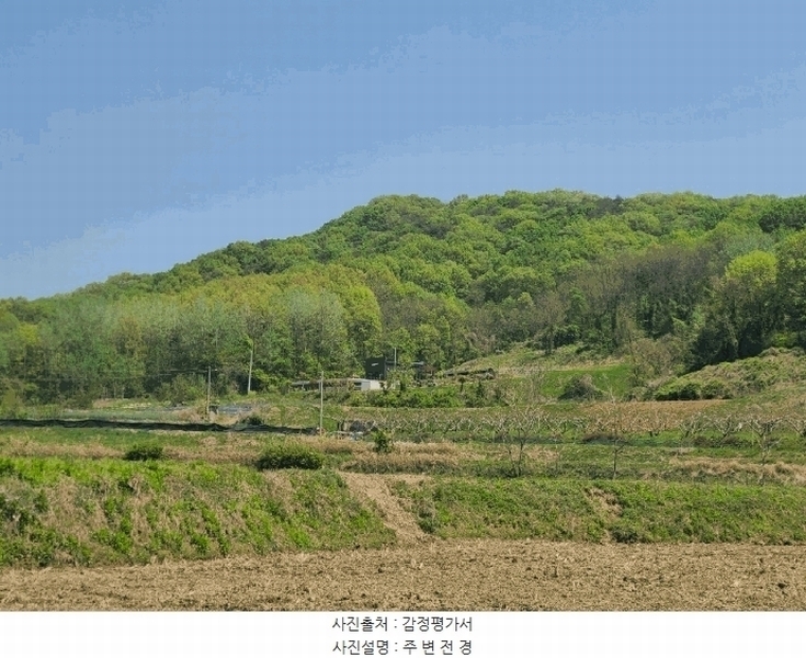 2025타경502251 세종특별자치시 전동면 노장리 237 근린시설 경매 이미지