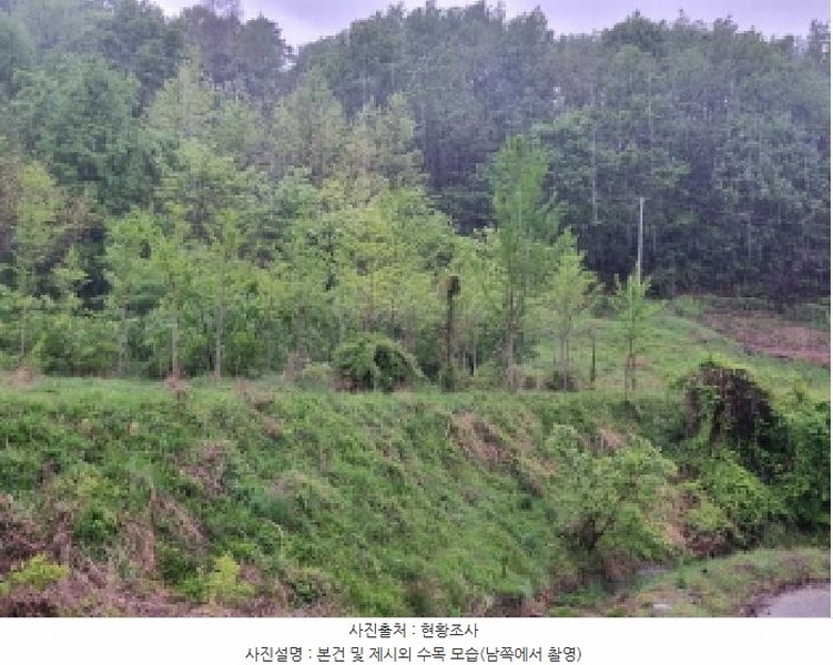 2025타경502328 세종특별자치시 장군면 송학리 355-1 농지 경매 이미지