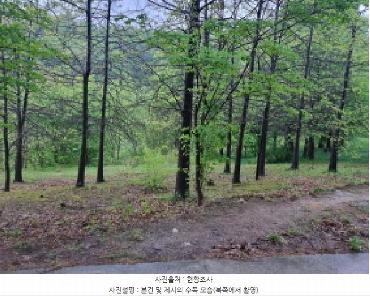 2025타경502328 세종특별자치시 장군면 송학리 355-1 농지 경매 이미지