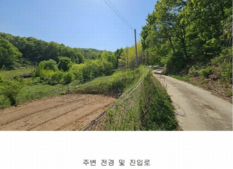 2025타경502328 세종특별자치시 장군면 송학리 355-1 농지 경매 이미지