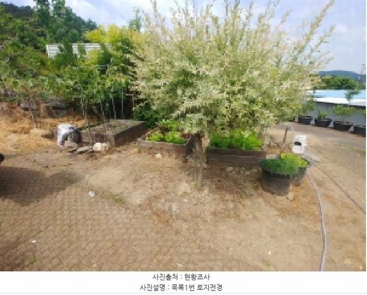 2025타경502529 충청남도 금산군 복수면 용진리 86-6 대지 경매 이미지
