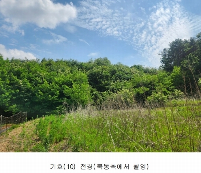 2025타경502555 세종특별자치시 장군면 용암리 산107-16 임야 경매 이미지