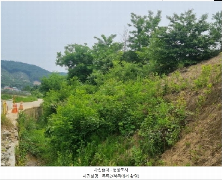 2025타경502555 세종특별자치시 장군면 용암리 산107-16 임야 경매 이미지