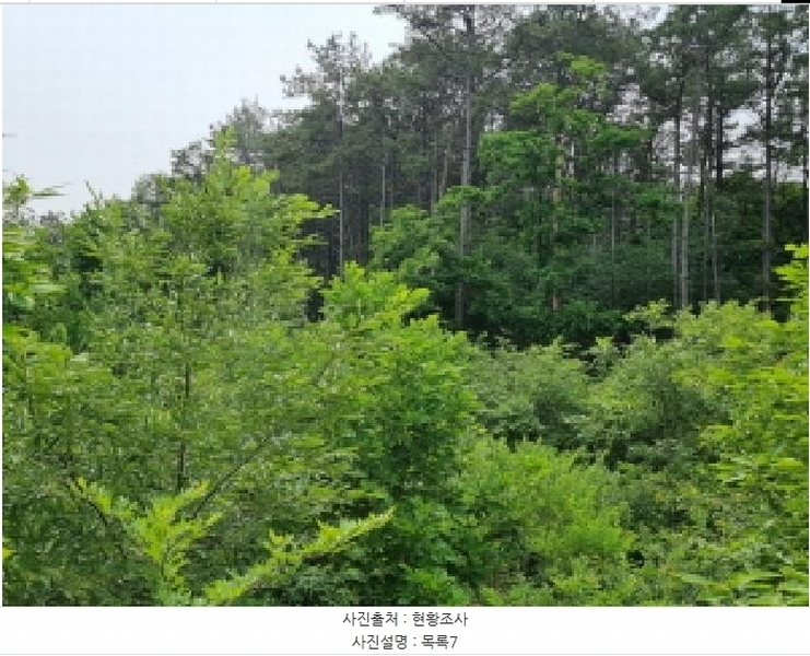 2025타경502555 세종특별자치시 장군면 용암리 산107-16 임야 경매 이미지