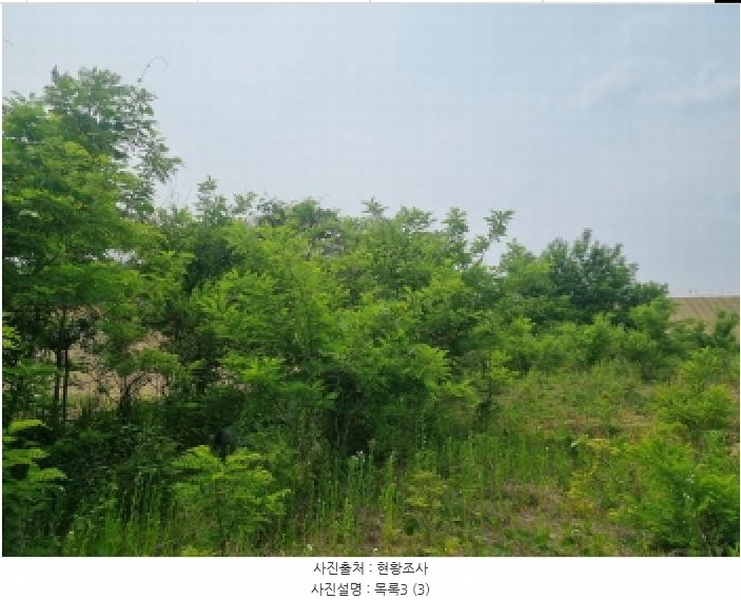 2025타경502555 세종특별자치시 장군면 용암리 산107-16 임야 경매 이미지