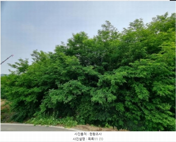 2025타경502555 세종특별자치시 장군면 용암리 산107-16 임야 경매 이미지