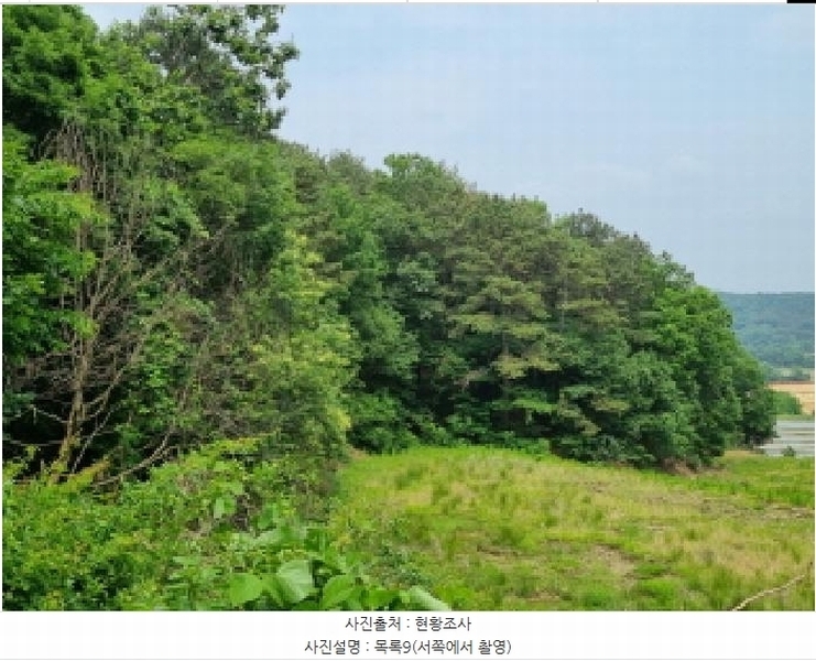 2025타경502555 세종특별자치시 장군면 용암리 산107-16 임야 경매 이미지