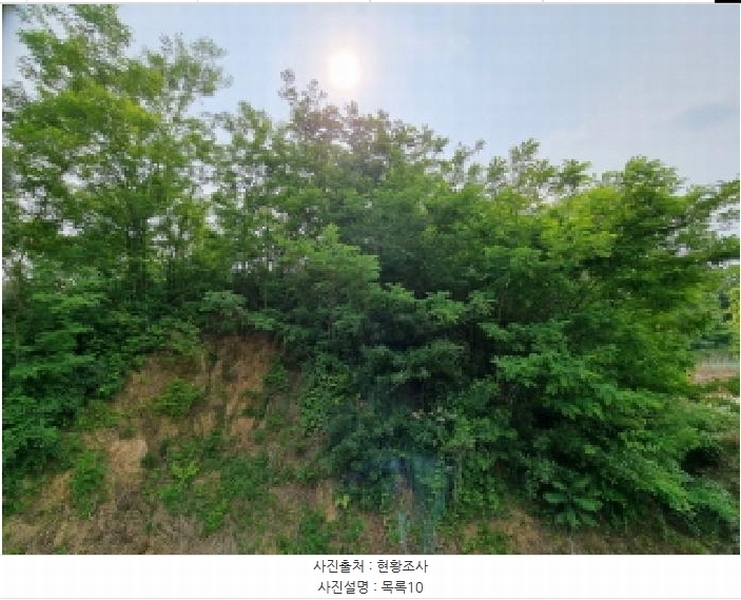 2025타경502555 세종특별자치시 장군면 용암리 산107-16 임야 경매 이미지