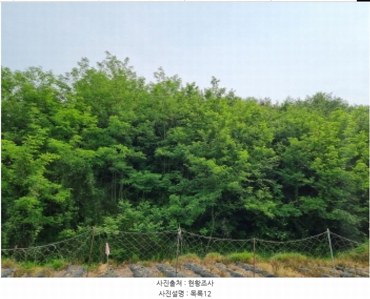 2025타경502555 세종특별자치시 장군면 용암리 산107-16 임야 경매 이미지