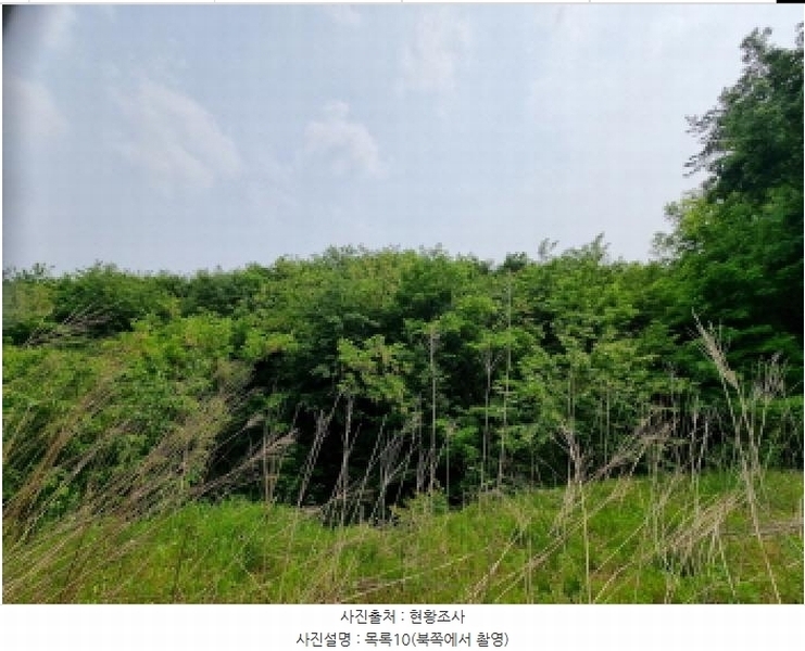2025타경502555 세종특별자치시 장군면 용암리 산107-16 임야 경매 이미지