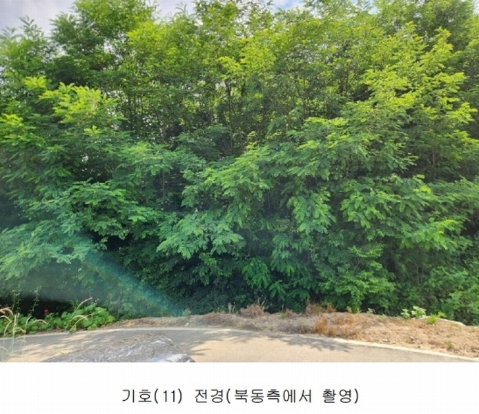 2025타경502555 세종특별자치시 장군면 용암리 산107-16 임야 경매 이미지