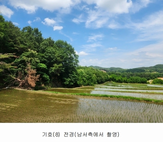2025타경502555 세종특별자치시 장군면 용암리 산107-16 임야 경매 이미지
