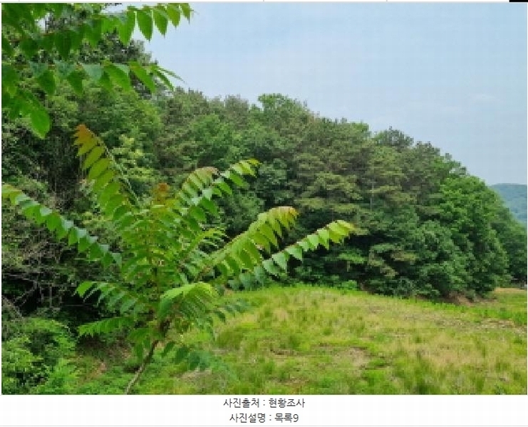 2025타경502555 세종특별자치시 장군면 용암리 산107-16 임야 경매 이미지