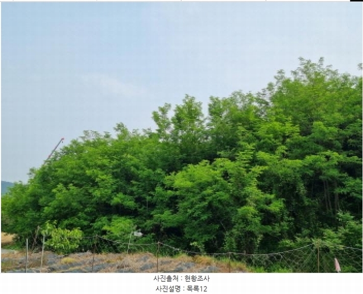 2025타경502555 세종특별자치시 장군면 용암리 산107-16 임야 경매 이미지