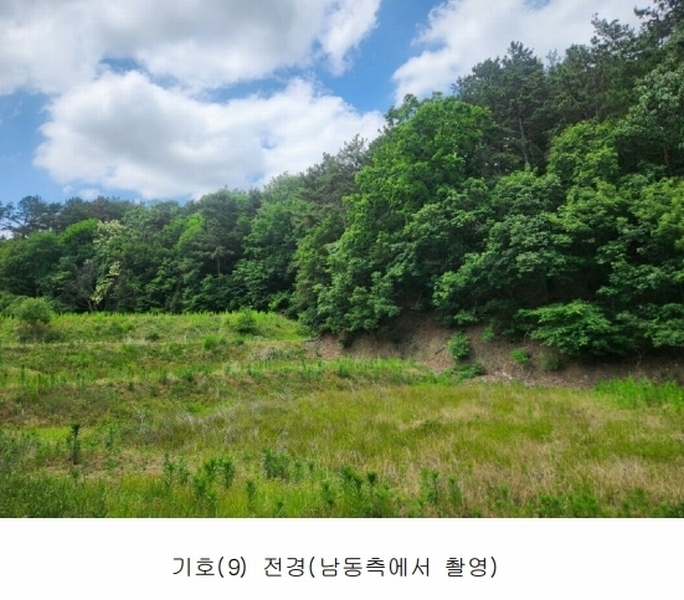 2025타경502555 세종특별자치시 장군면 용암리 산107-16 임야 경매 이미지