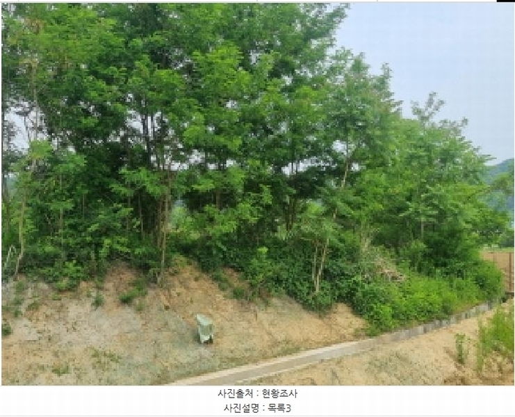 2025타경502555 세종특별자치시 장군면 용암리 산107-16 임야 경매 이미지