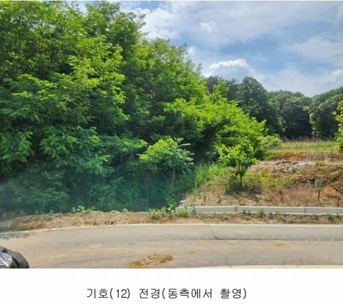 2025타경502555 세종특별자치시 장군면 용암리 산107-16 임야 경매 이미지