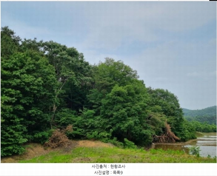 2025타경502555 세종특별자치시 장군면 용암리 산107-16 임야 경매 이미지