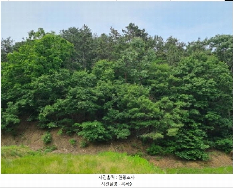 2025타경502555 세종특별자치시 장군면 용암리 산107-16 임야 경매 이미지