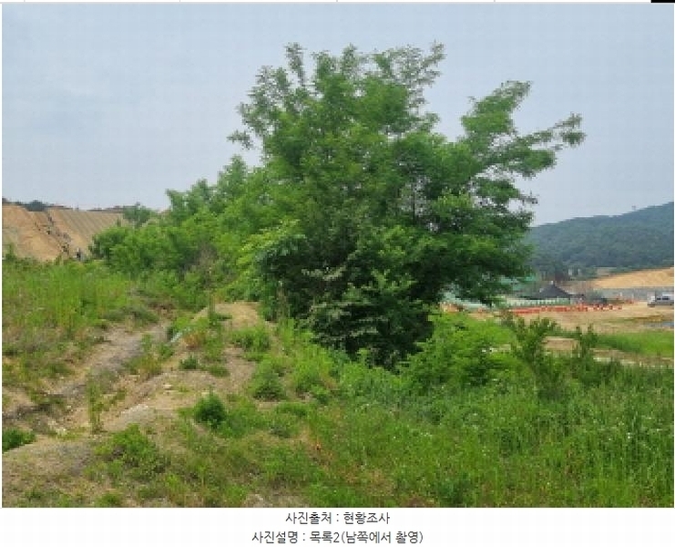 2025타경502555 세종특별자치시 장군면 용암리 산107-16 임야 경매 이미지