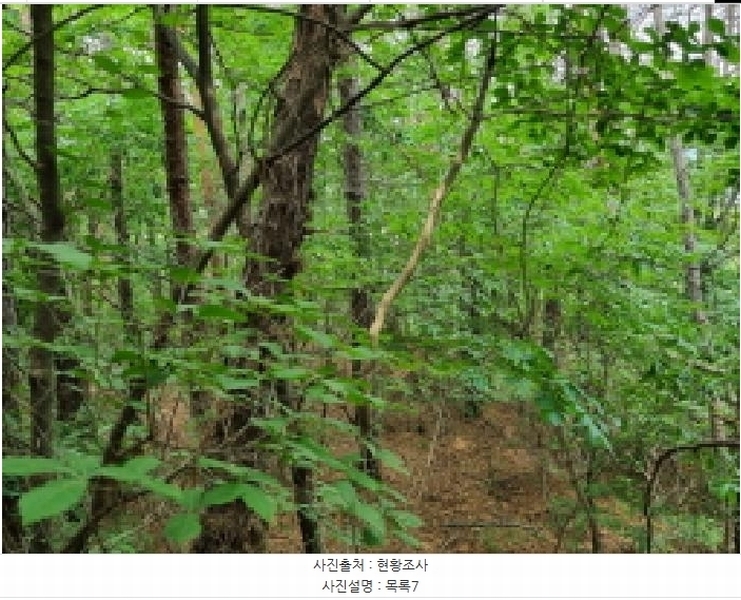 2025타경502555 세종특별자치시 장군면 용암리 산107-16 임야 경매 이미지