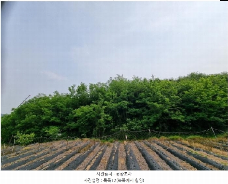 2025타경502555 세종특별자치시 장군면 용암리 산107-16 임야 경매 이미지