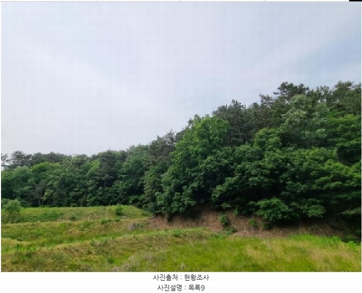 2025타경502555 세종특별자치시 장군면 용암리 산107-16 임야 경매 이미지