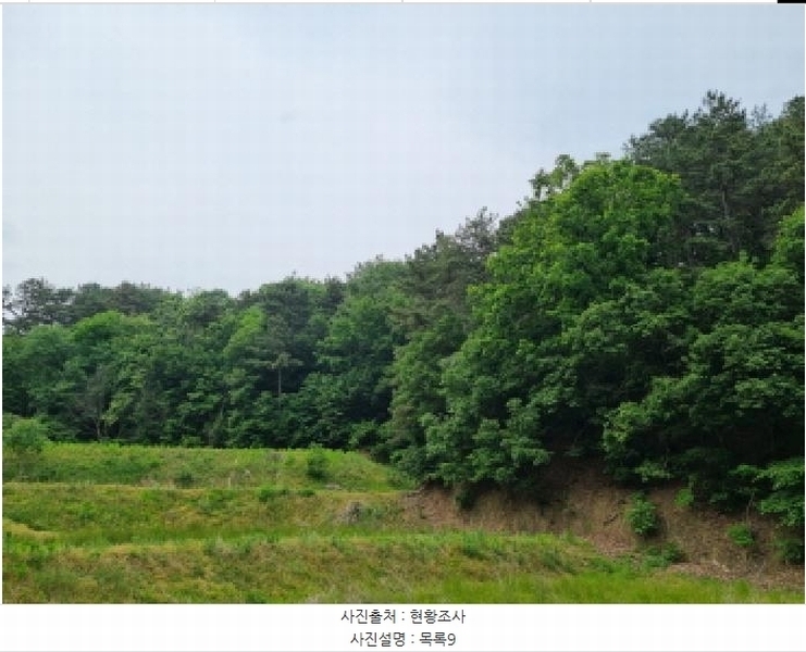 2025타경502555 세종특별자치시 장군면 용암리 산107-16 임야 경매 이미지