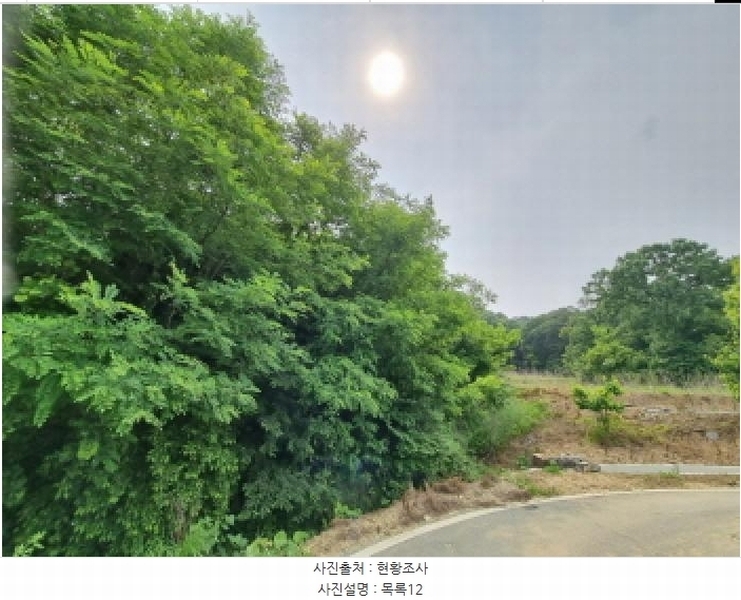 2025타경502555 세종특별자치시 장군면 용암리 산107-16 임야 경매 이미지